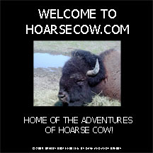to hoarsecow.com
