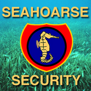 to seahoarse.com